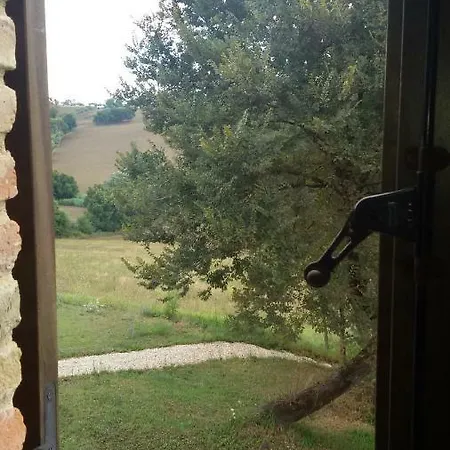 Tenuta Tredici Ulivi Lägenhet *