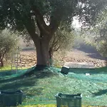 Tenuta Tredici Ulivi - & Glamping Apartment *