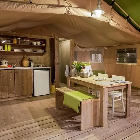 公寓 Tenuta Tredici Ulivi - & Glamping 西尼加利亚
