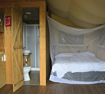 公寓 Tenuta Tredici Ulivi - & Glamping