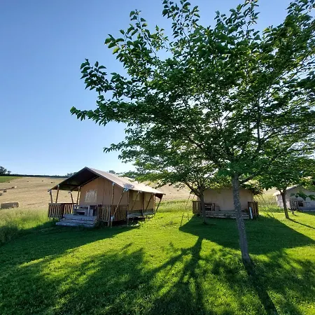Tenuta Tredici Ulivi - & Glamping