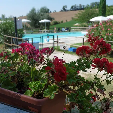 Tenuta Tredici Ulivi - & Glamping سينِغاليا
