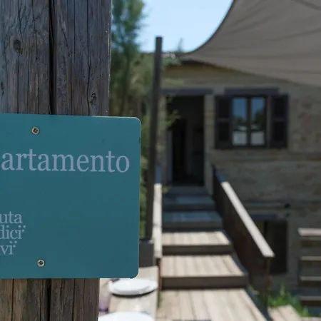 Tenuta Tredici Ulivi سينِغاليا