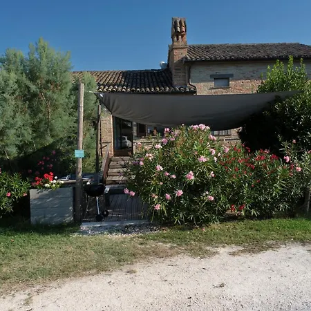 Tenuta Tredici Ulivi - & Glamping Appartement
