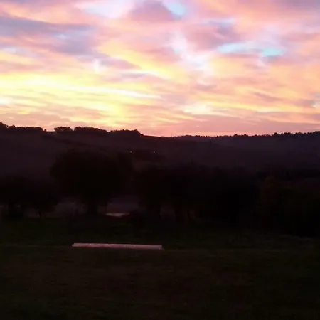 Tenuta Tredici Ulivi * 세니갈리아