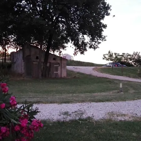 Tenuta Tredici Ulivi * سينِغاليا