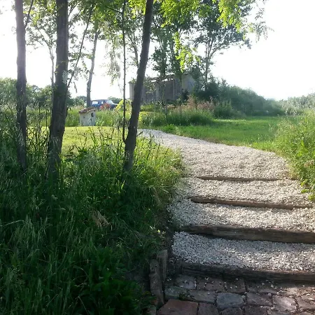 公寓 Tenuta Tredici Ulivi - & Glamping *