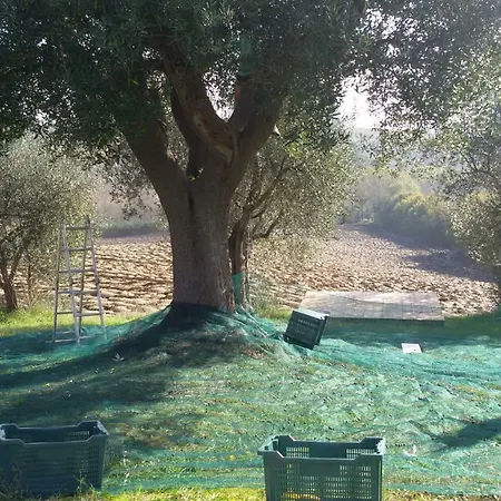 Tenuta Tredici Ulivi شقة *