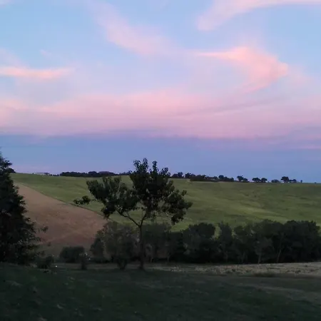 아파트 Tenuta Tredici Ulivi *