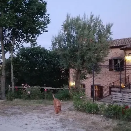 Tenuta Tredici Ulivi - & Glamping