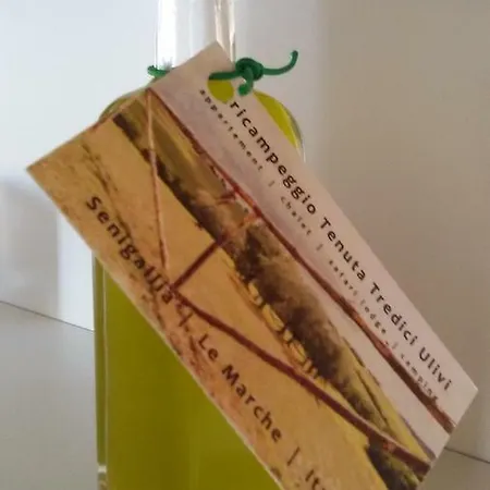 아파트 Tenuta Tredici Ulivi *