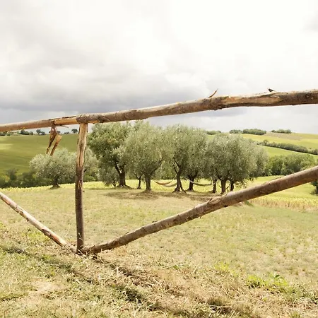 Tenuta Tredici Ulivi * سينِغاليا