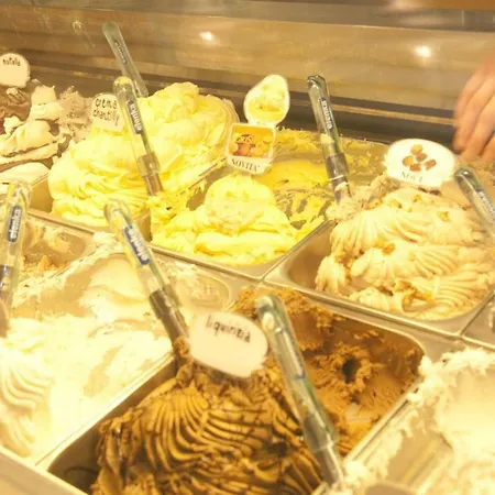 Tenuta Tredici Ulivi * Σενιγκάλια