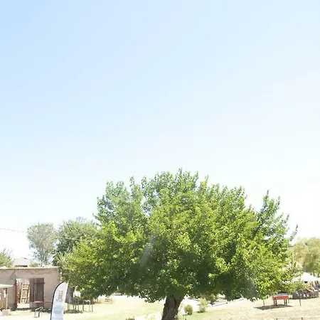 아파트 Tenuta Tredici Ulivi *