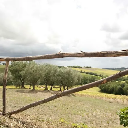 Tenuta Tredici Ulivi - & Glamping 公寓 西尼加利亚