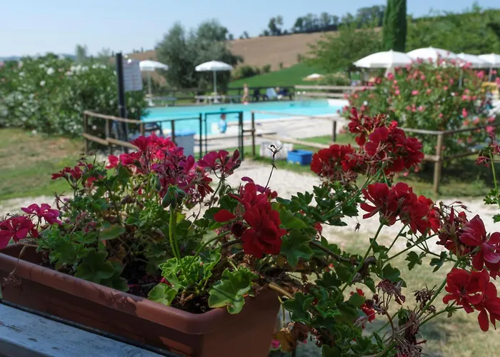 Tenuta Tredici Ulivi - & Glamping Senigallia