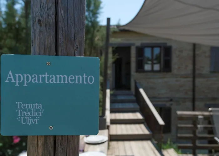 Tenuta Tredici Ulivi - & Glamping Senigallia