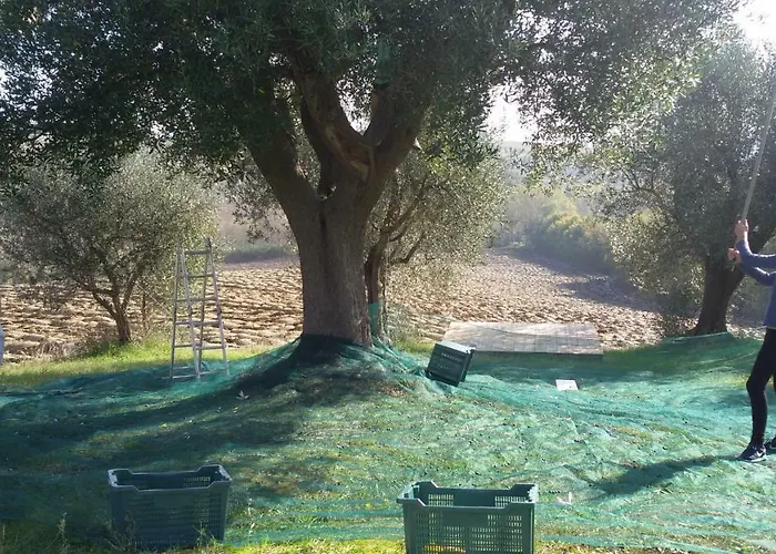 Tenuta Tredici Ulivi - & Glamping Appartement *