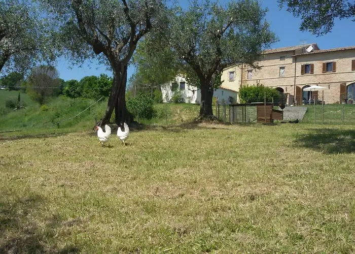 Tenuta Tredici Ulivi - & Glamping * Senigallia