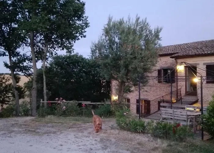Tenuta Tredici Ulivi - & Glamping