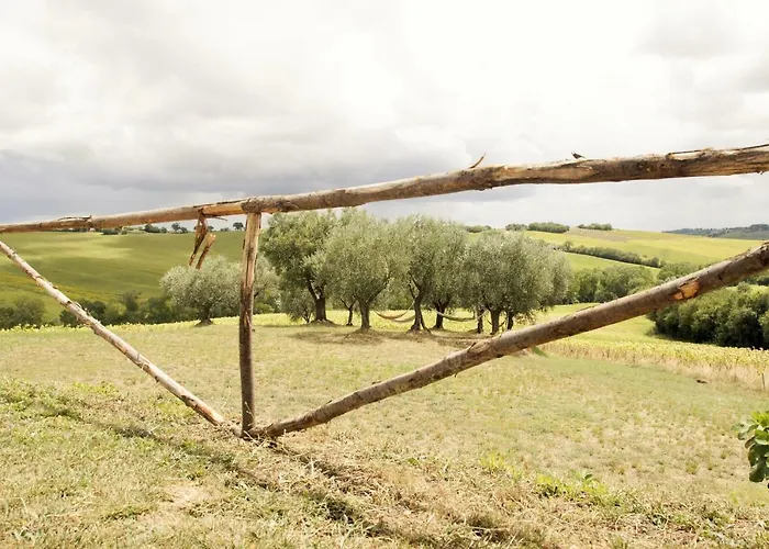 Tenuta Tredici Ulivi - & Glamping * Senigallia