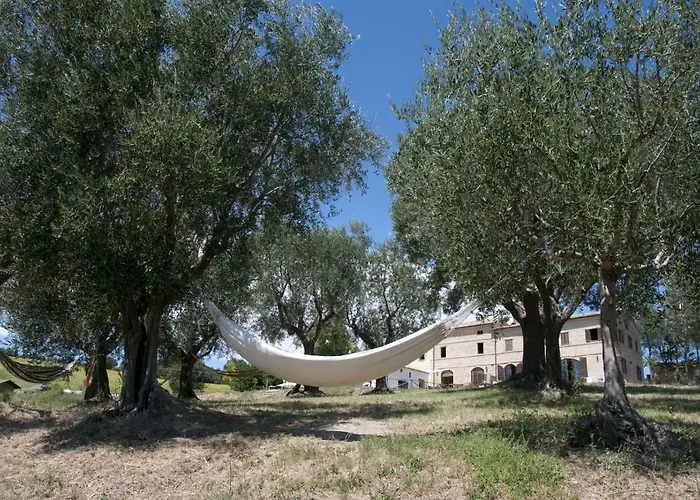 Tenuta Tredici Ulivi - & Glamping