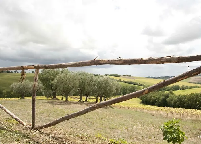 Tenuta Tredici Ulivi - & Glamping Appartement Senigallia