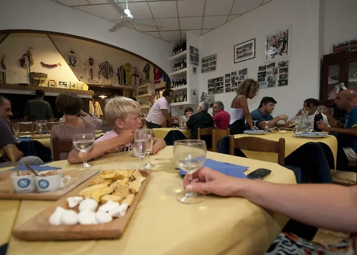 Tenuta Tredici Ulivi - & Glamping